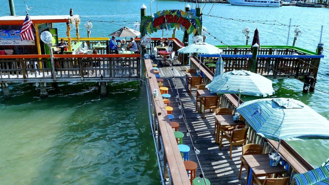 Coconut Paradise St. Pete Beach Exterior photo