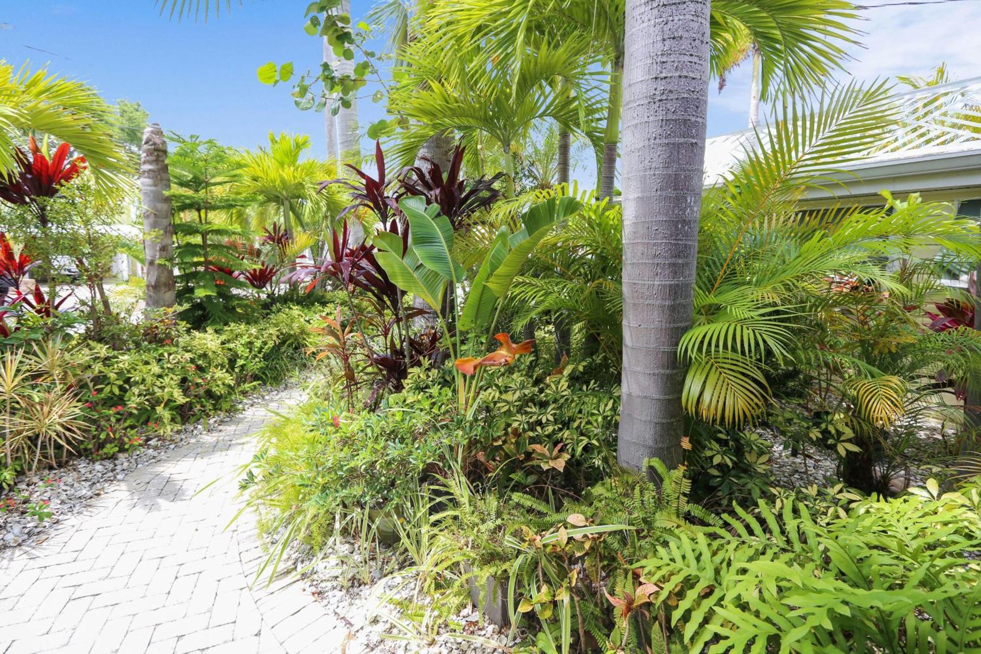 Coconut Paradise St. Pete Beach Exterior photo